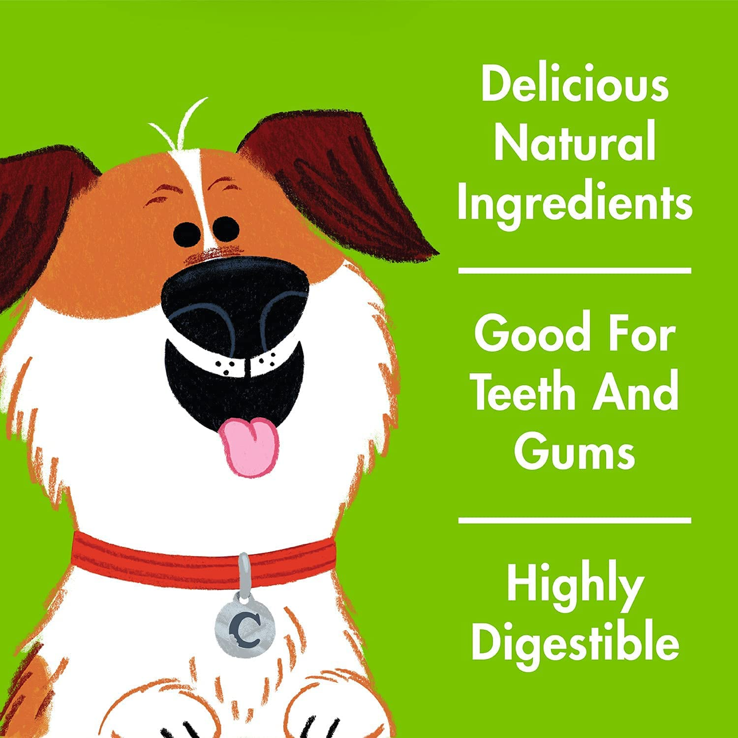 Chewsday Extra Small Minty Fresh Daily Dental Dog Chews, Made in the USA, Natural Highly-Digestible Oral Health Treats for Healthy Gums and Teeth - 28 Count