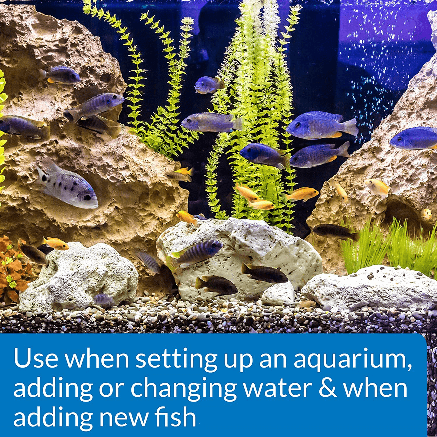 QUICK START Freshwater and Saltwater Aquarium Nitrifying Bacteria 4-Ounce Bottle