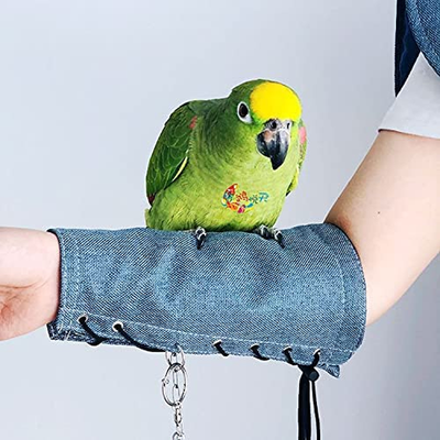 Parrot Anti-Scratch Shoulder Protector Hang Bird Anklet & Toys