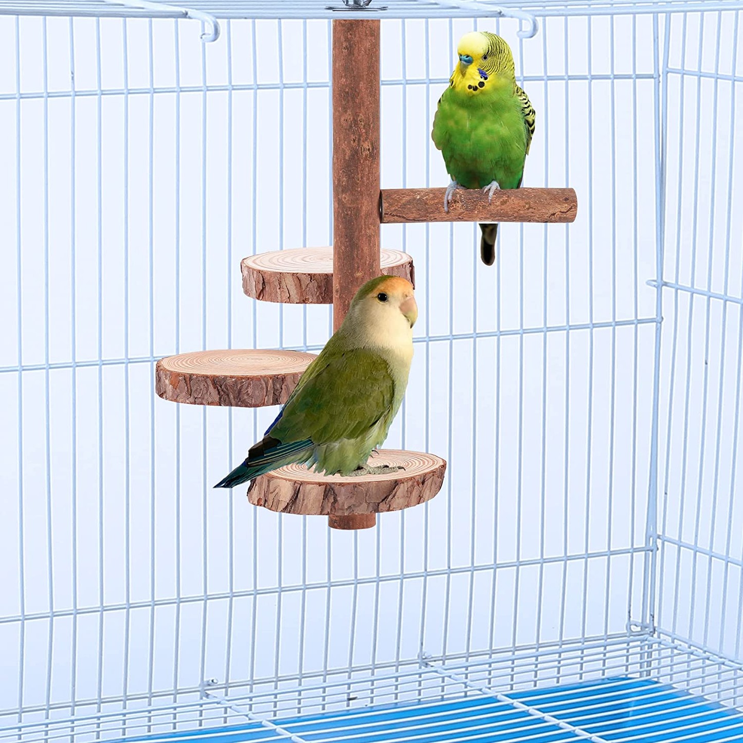 Filhome Bird Perch Stand Toy, Natural Wood Parrot Perch Bird Cage Branch Perch Accessories for Parakeets Cockatiels Conures Macaws Finches Love Birds