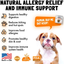 Allergy Relief Chews for Dogs & Immune Support with Kelp, Colostrum & Bee Pollen - for Seasonal Allergies + anti Itch, Skin Hot Spots Soft Treats