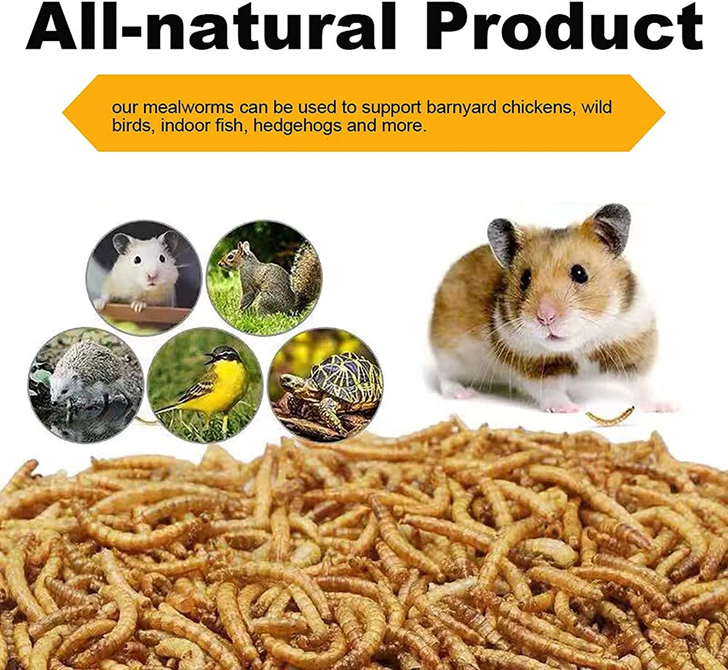 Mealworms, High-Protein Bulk Dried Mealworms 0.6Lbs-44Lbs, 100% Non-Gmo Mealworm Treats for Birds, Chickens, Turtles, Fish, Hamsters and Hedgehogs All Natural Animal Feed