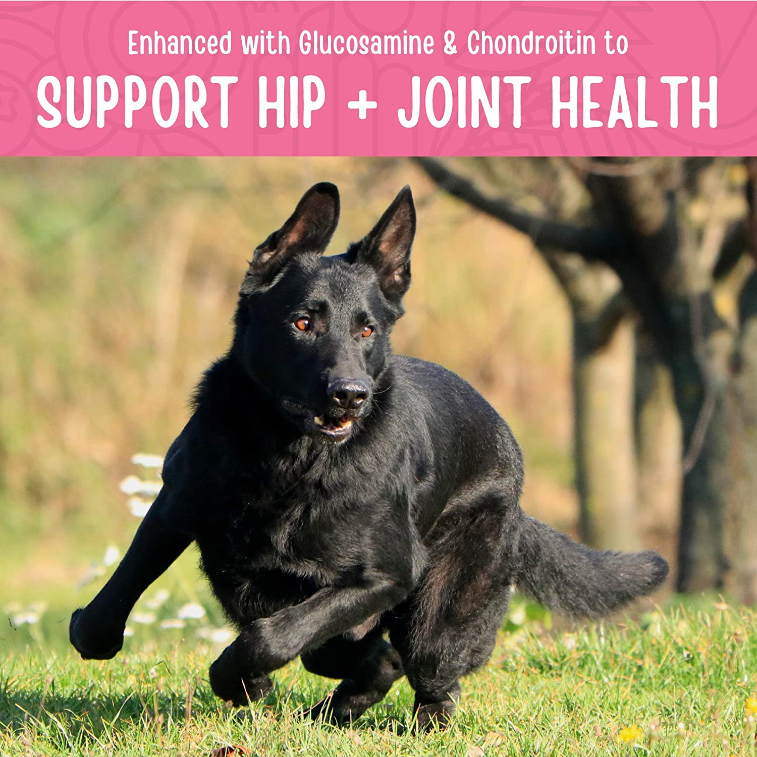 All Natural Human Grade Dog Treats for Hip & Joint Health
