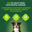 Natural Grain Free Daily Dental Long Lasting Dog Treats, Veggie Strip, Medium, Bag of 14