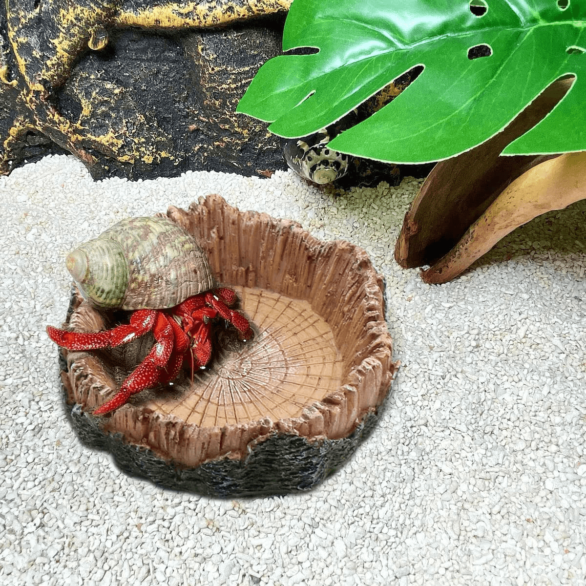 Reptile Water Dish Food Bowls, Artificial Tree Trunk Reptile Tank Decor Bowl for Leopard Gecko Lizard Spider Scorpion （2 Pcs）