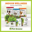 100% Certified Organic Fresh Cat Grass 3-Pack. Natural Cat Treat