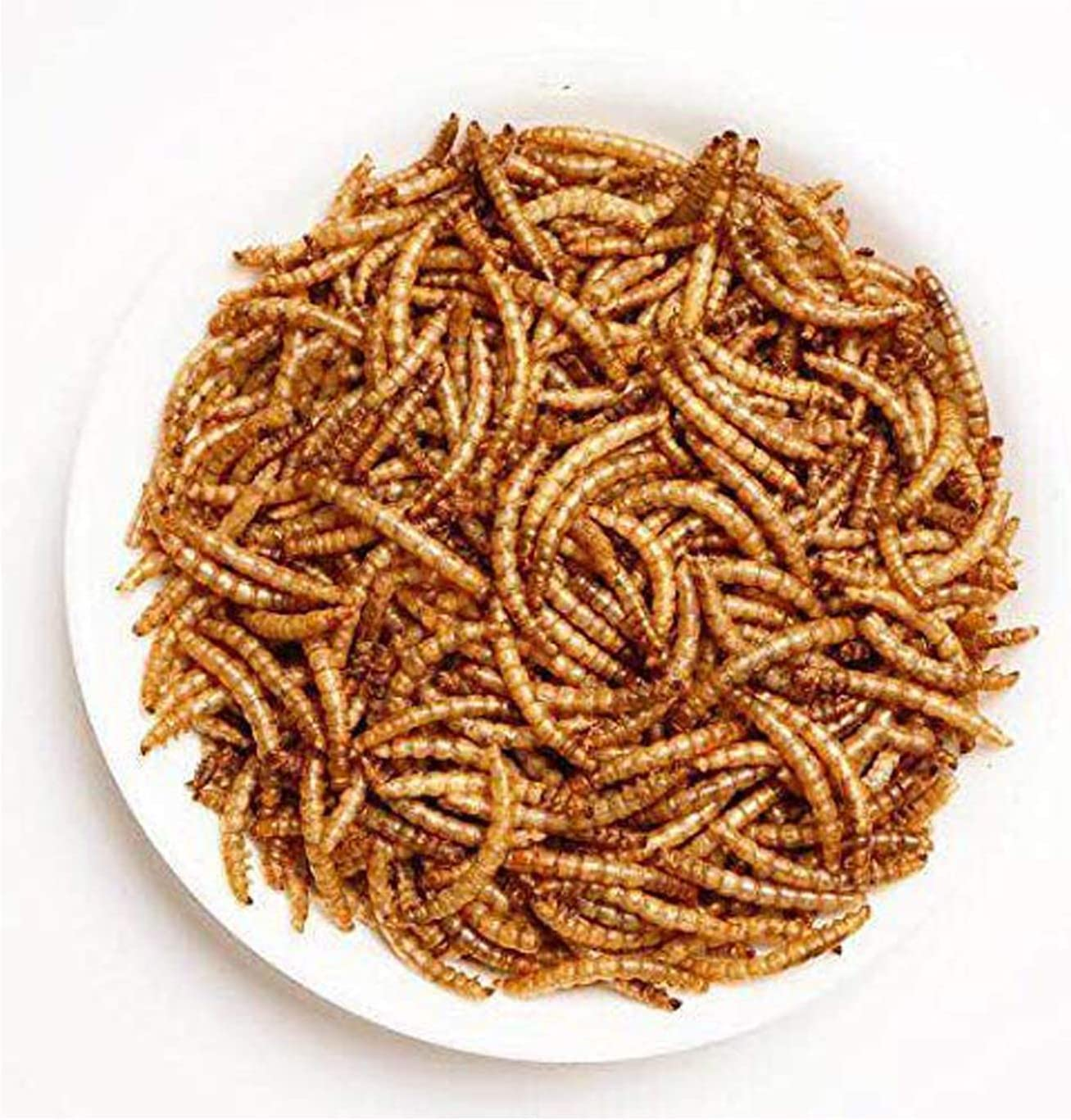 Mealworms -5 Lbs- 100% Non-Gmo Dried Mealworms - Large Meal Worms - Bulk Mealworms -High Protein Treats- Perfect Mealworm for Chickens, Ducks, Turtles, Blue Birds, Lizards - Bag of Mealworms 5 LBS