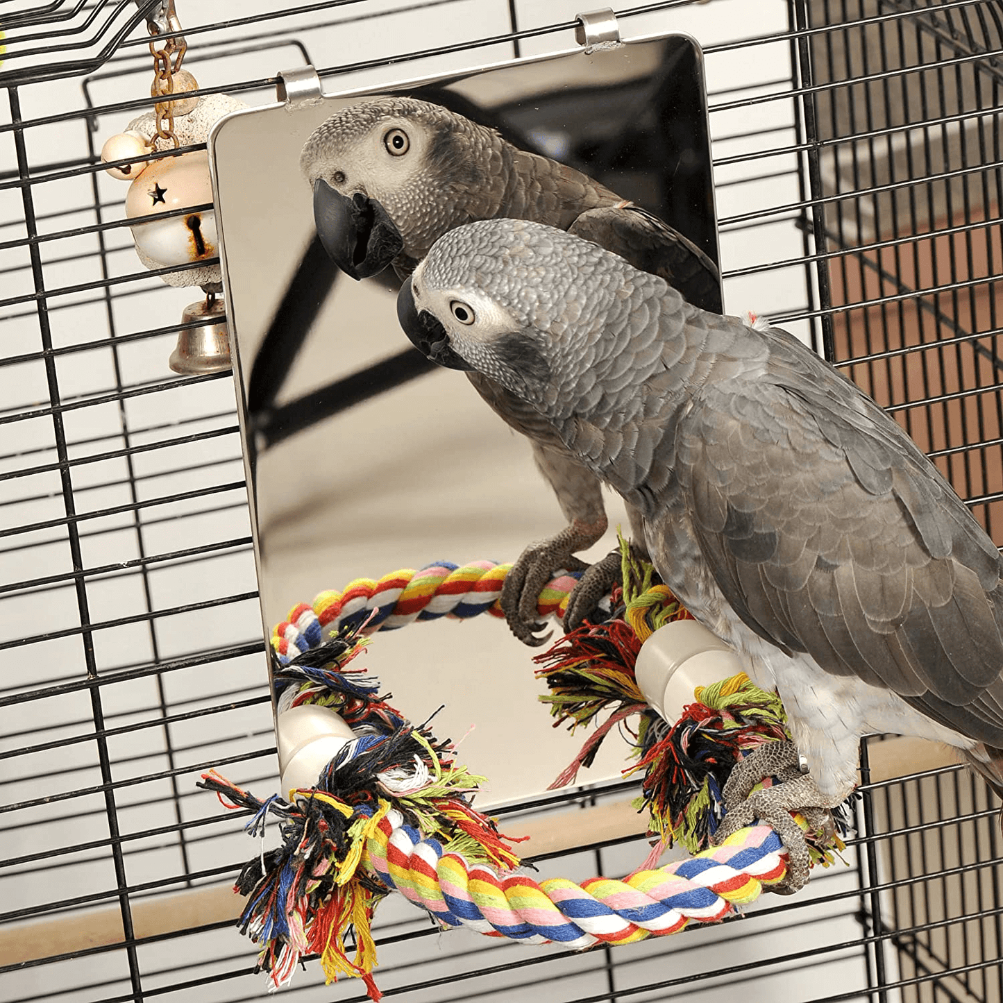 9 Inch Stainless Steel Bird Mirror with Rope Perch, Bird Toys Swing (Large)