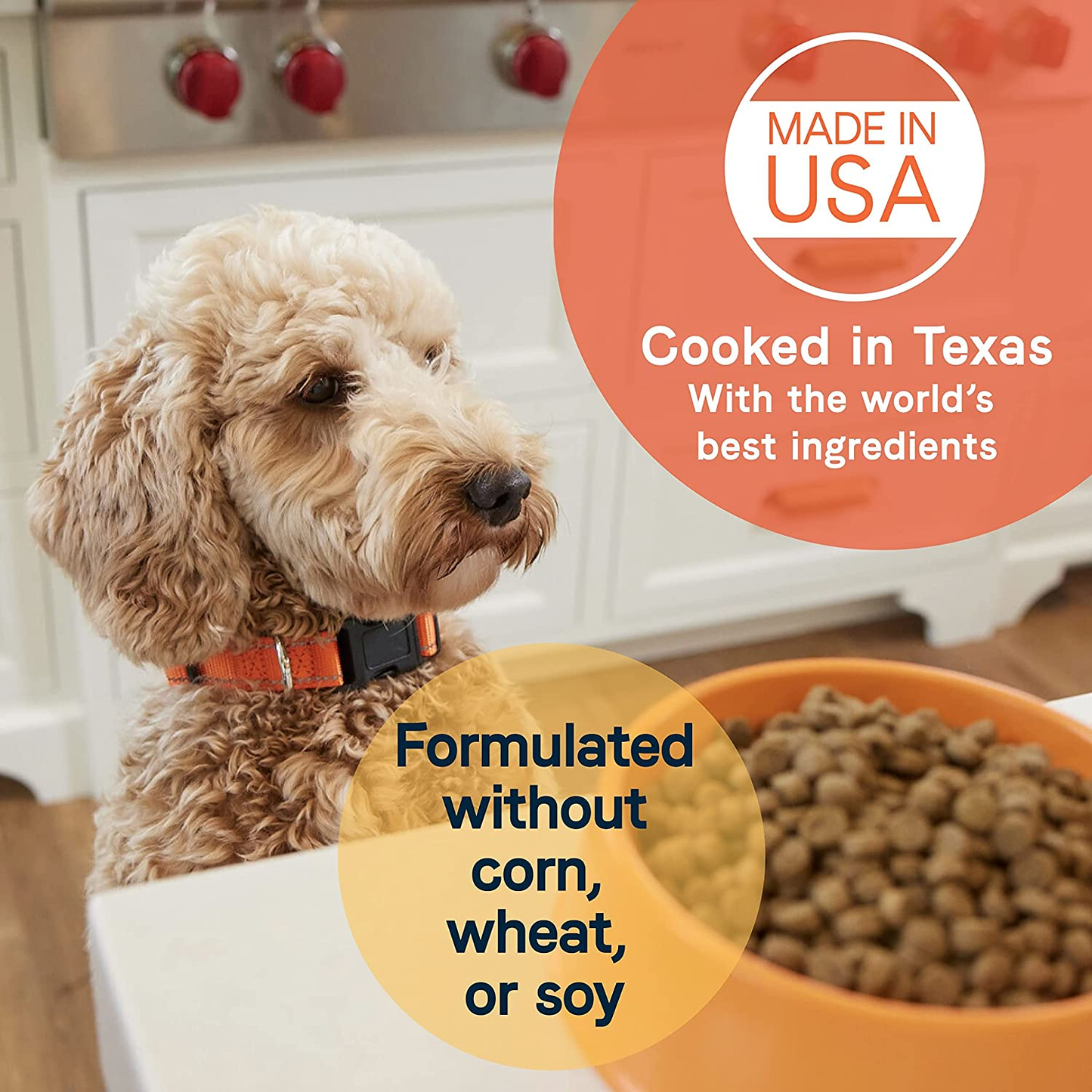 All Life Stages Premium Dry Dog Food for Less Active Dogs, All Ages Chicken, Turkey and Lamb Meals Formula, 15 Pounds