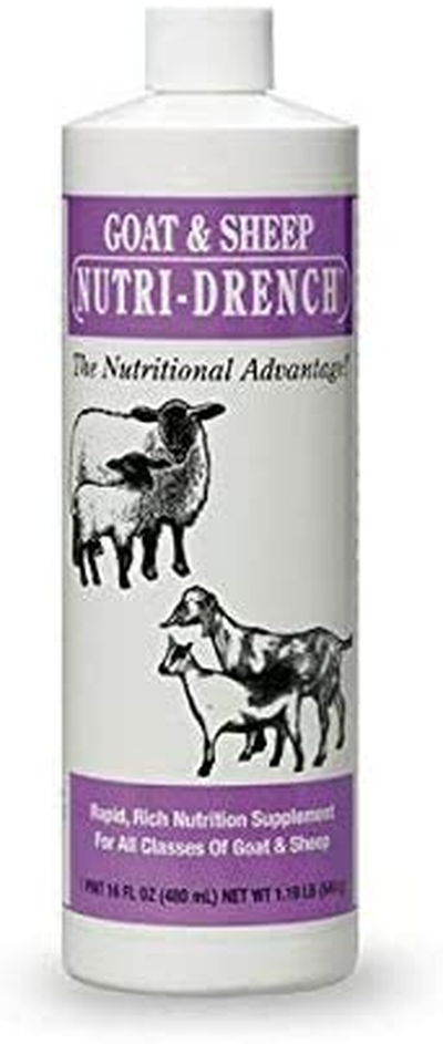 Goat & Sheep Nutrition Supplement 1 Pint 16 Oz (3)