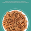 Reptile Food Dried Mealworms Pet Worms Food for Bearded Dragon, Lizard, Turtles, Chameleon, Monitor, Frog, Sugar Glider, Chickens, Ducks, Wild Birds, Fish, Hamsters and Hedgehogs (3.5 OZ)