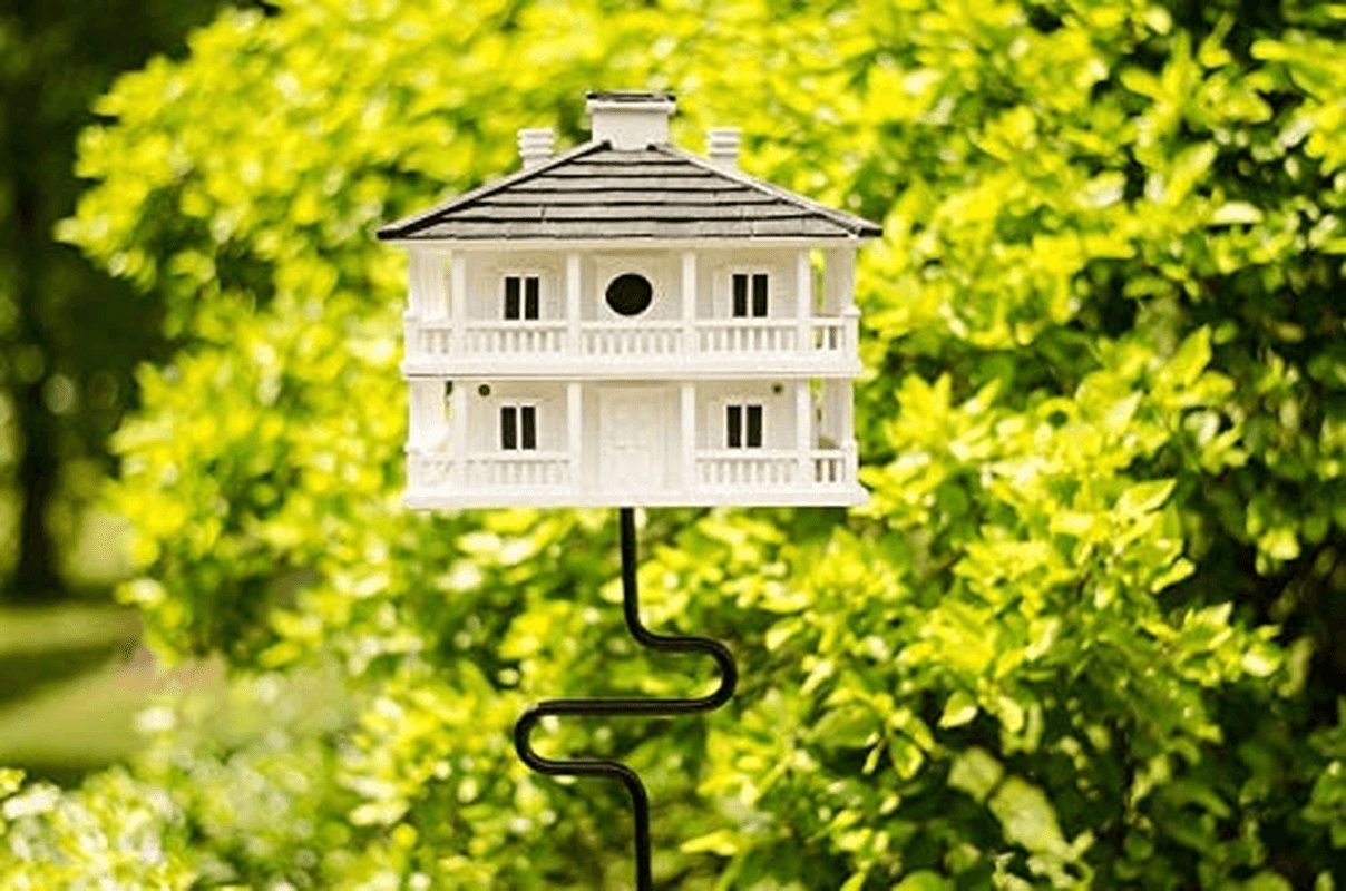 Ground Auger Bird Feeder/House Pole Mount