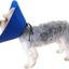 Pet - Cobalt Recovery Collar (For Dogs & Cats) - Color: Blue