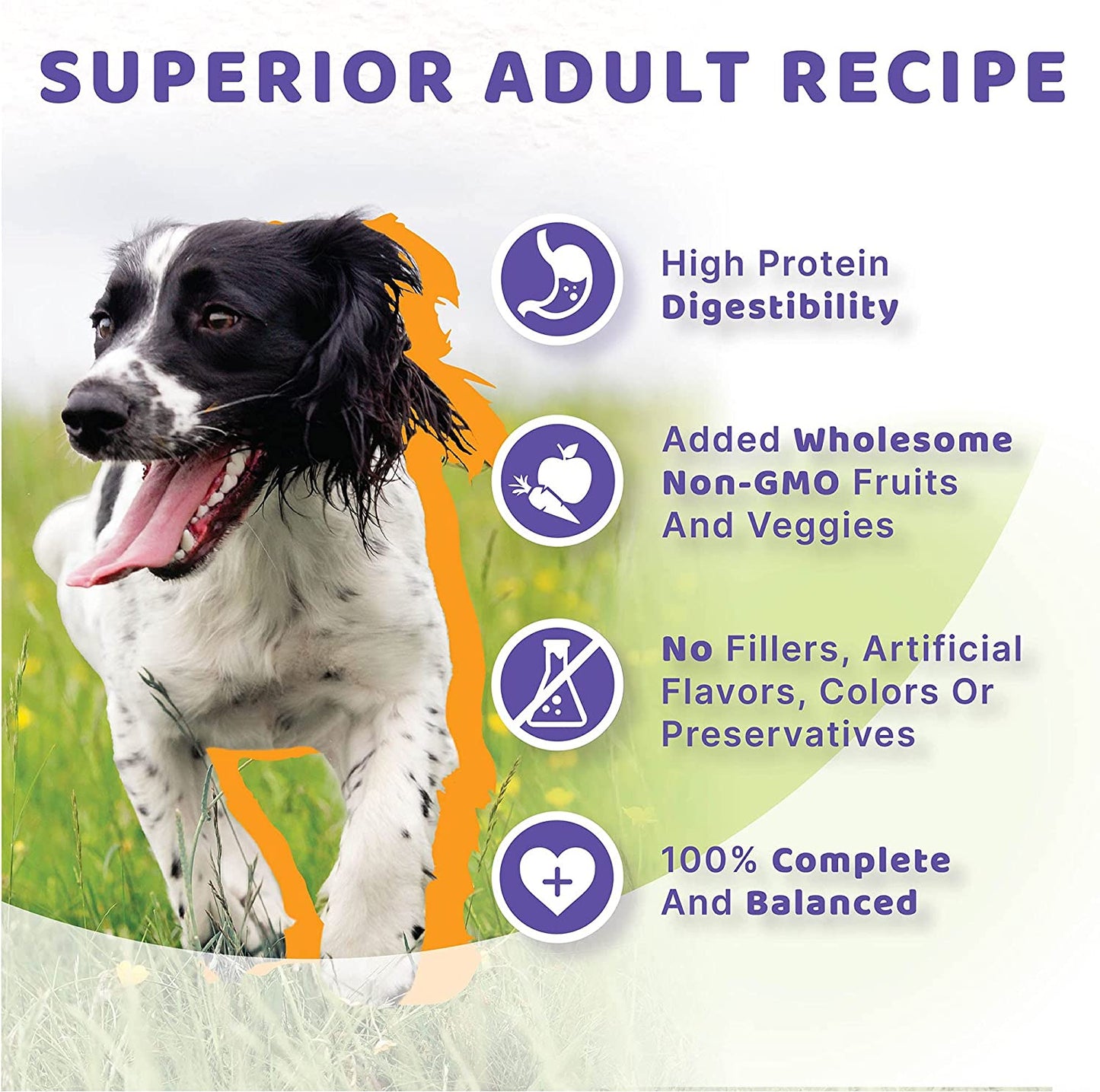 Halo Holistic Dog Food, Chicken & Chicken Liver Recipe, Dry Dog Food Bag, Adult Formula, 21-Lb Bag