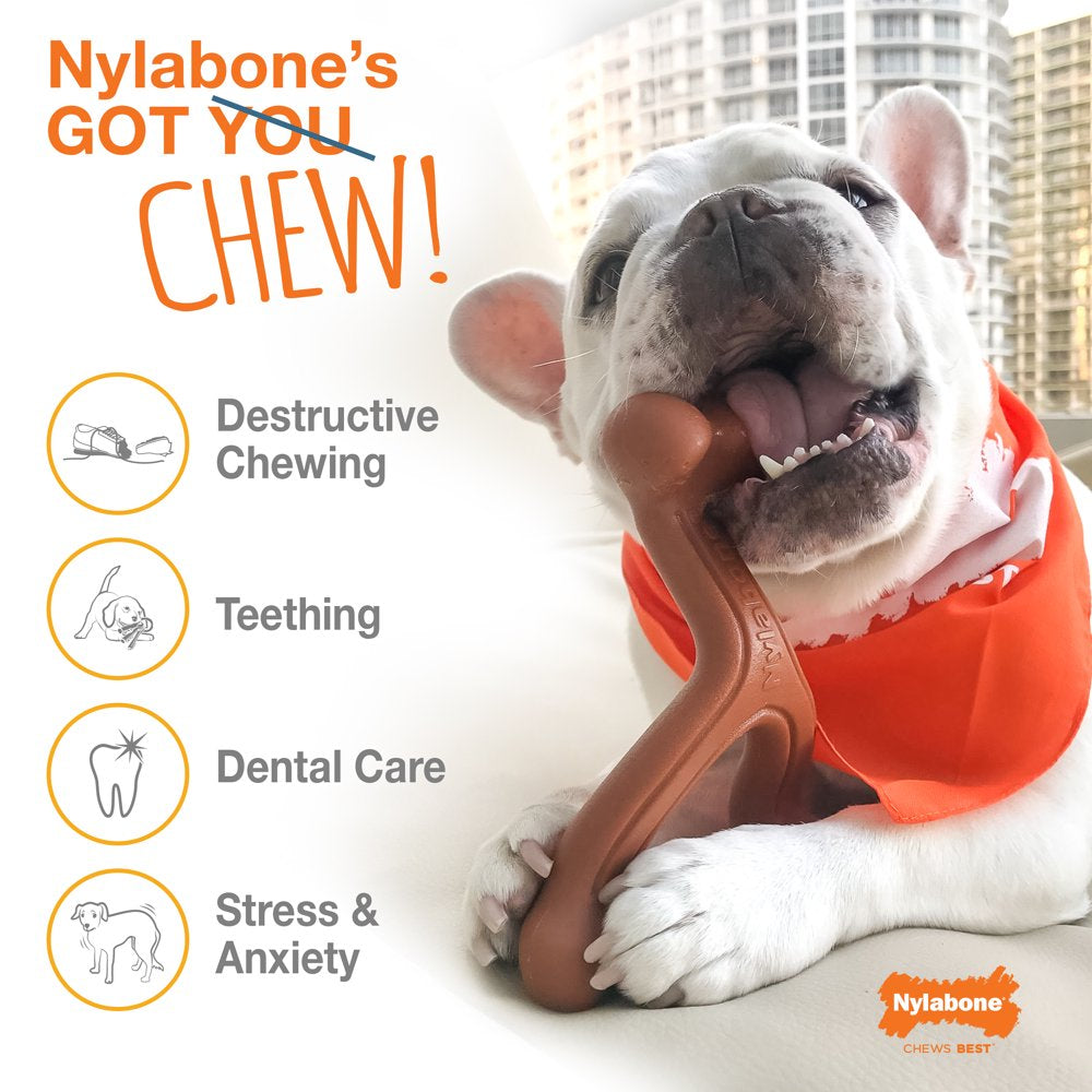 Nylabone Power Chew Flavored Durable Chew Toy for Dogs Original X-Large/Souper (1 Count)