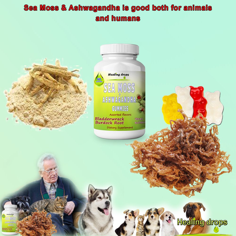 Sea Moss Gummies Ashwagandha with Bladderwrack Burdock Root Alkaline Keto Vegan Non-Gmo Diet by Healing Drops