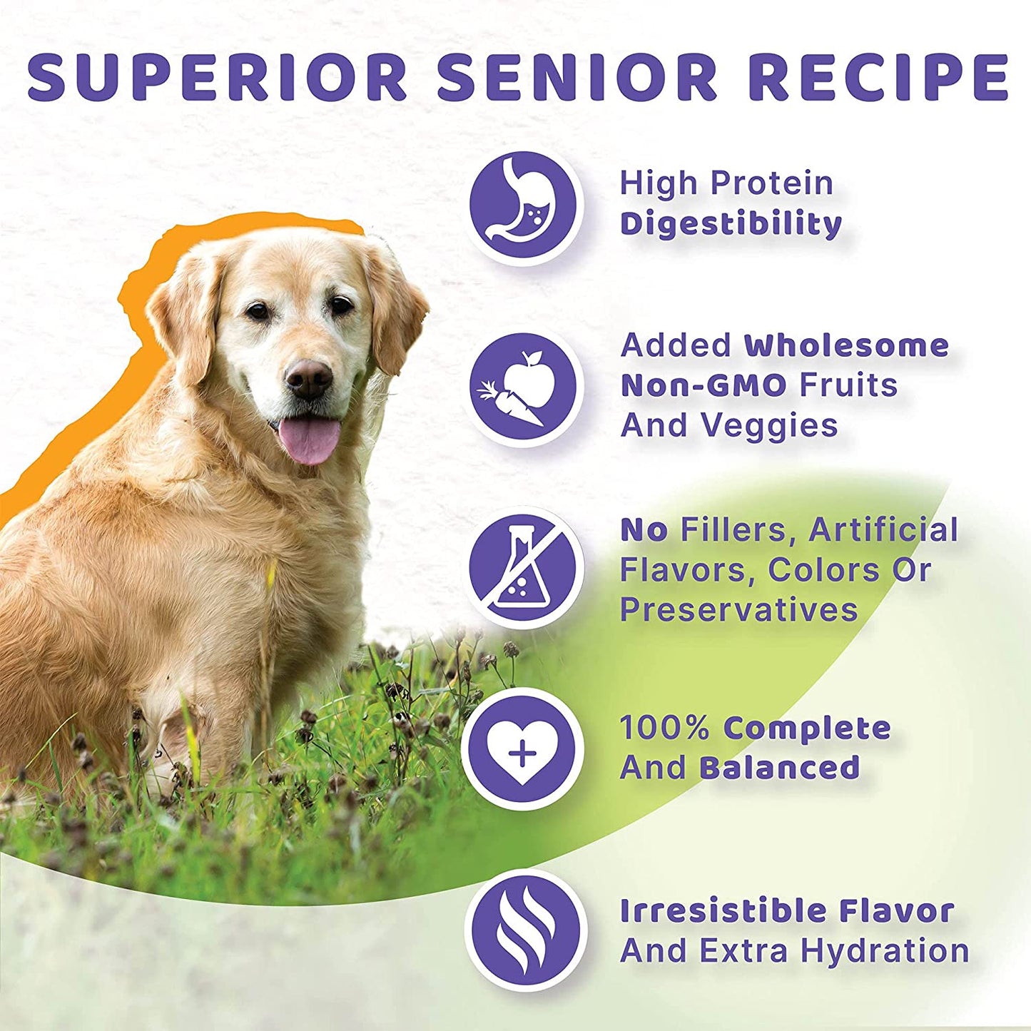 Halo Senior Wet Dog Food, Chicken 13.2Oz Can (Pack of 6)