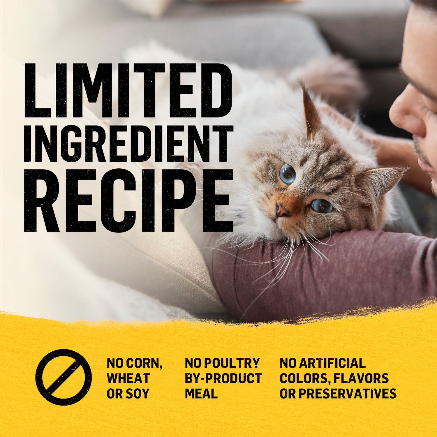 Purina beyond Natural Limited Ingredient Dry Cat Food, Simply White Meat Chicken & Whole Oat Meal Recipe, 3 Lb. Bag