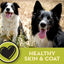 Avoderm Natural Dry & Wet Dog Food, for Skin & Coat