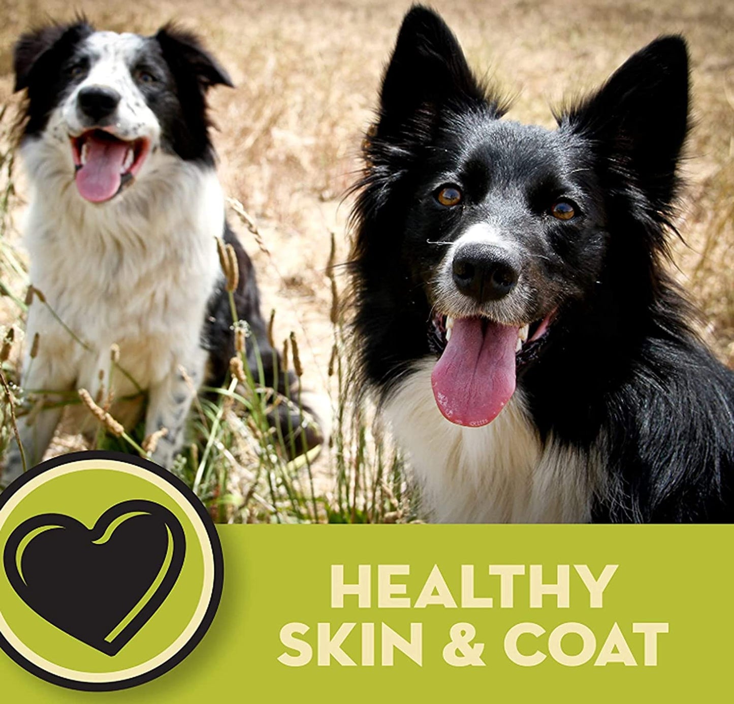 Avoderm Natural Dry & Wet Dog Food, for Skin & Coat