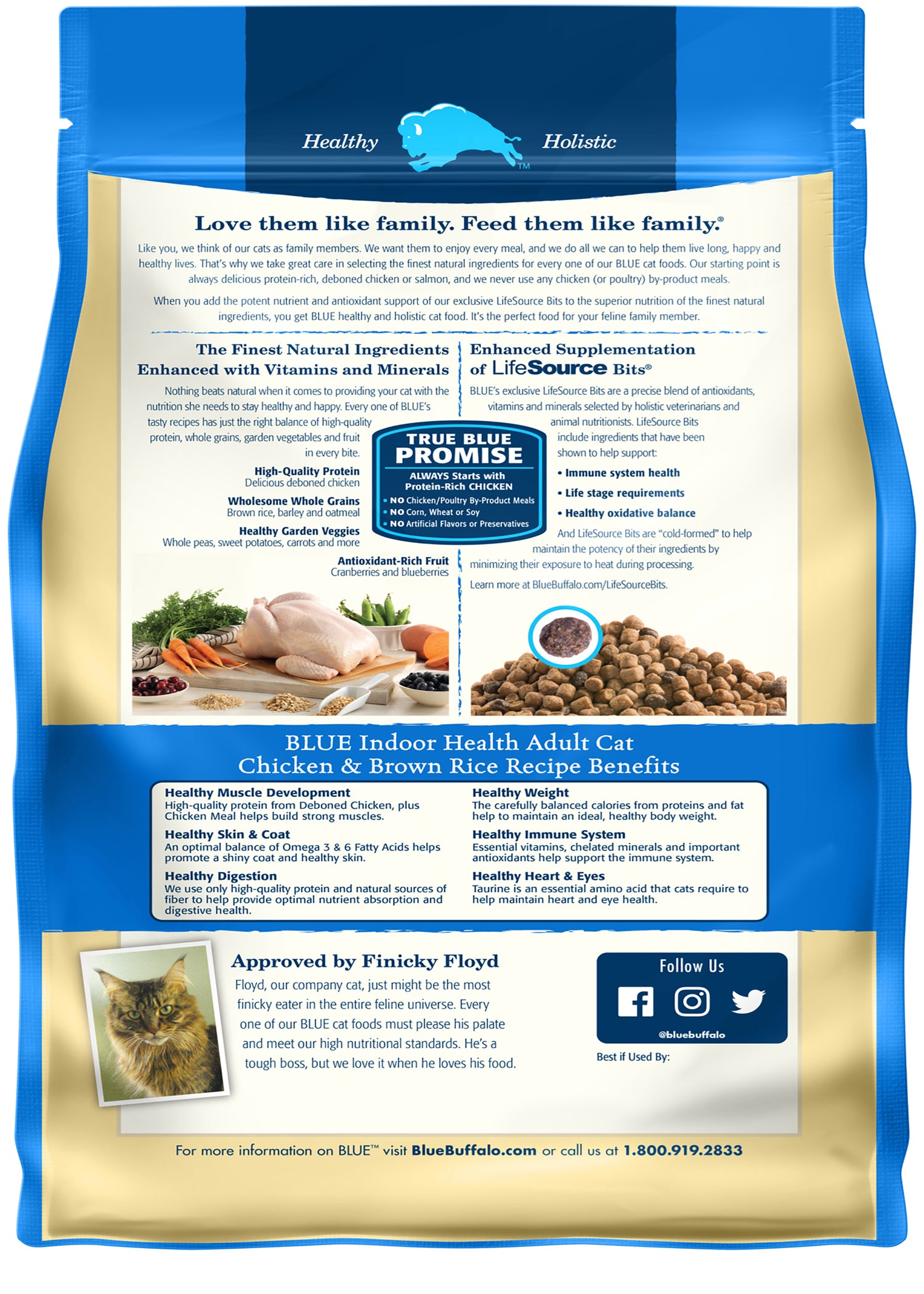 Indoor Health Chicken and Brown Rice Dry Cat Food for Adult Cats, Whole Grain, 5 Lb. Bag
