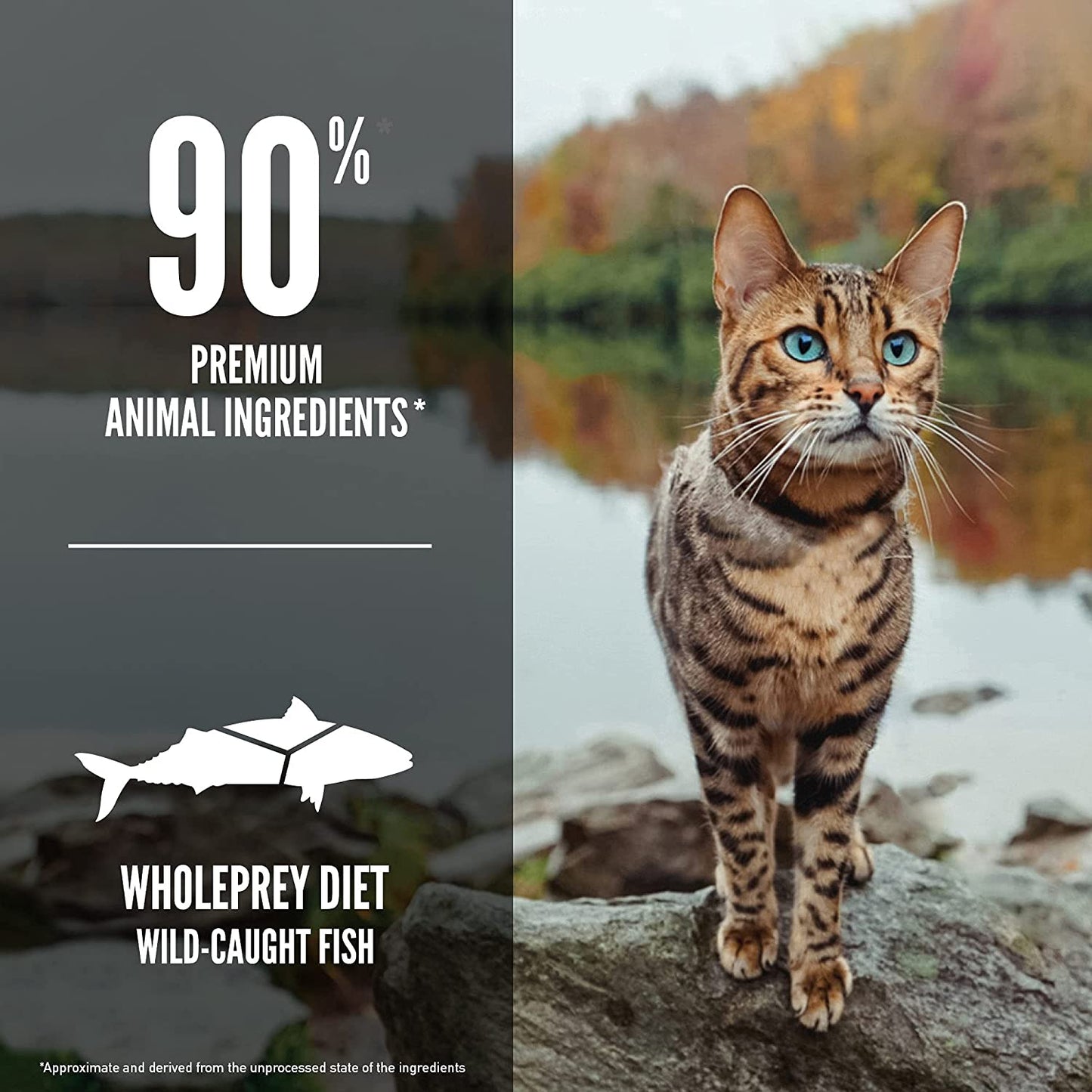 ORIJEN® Dry Cat Food, Grain Free, Premium, High Protein, Fresh & Raw Animal Ingredients