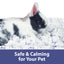 Kaytee Forti-Diet Clean Comfort Small Animal Bedding, Lavender 24.6L