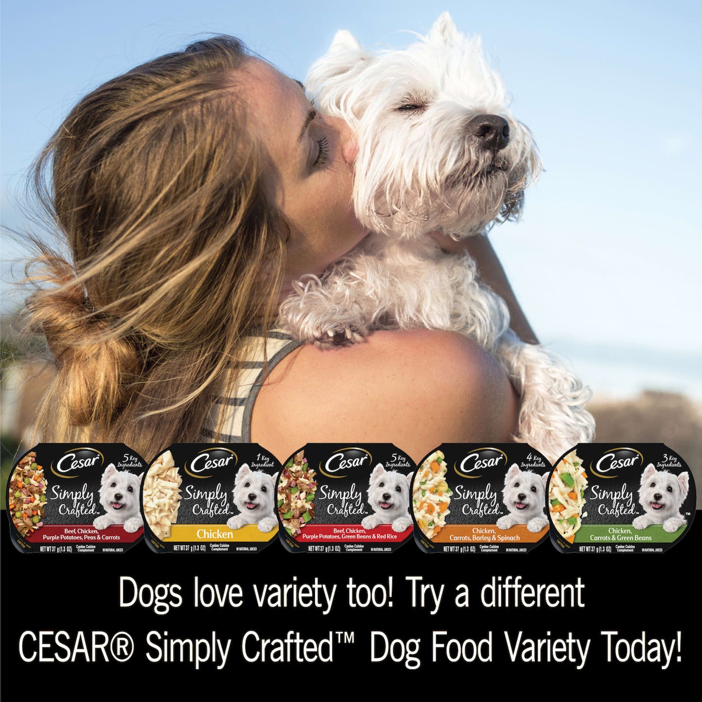 CESAR Simply Crafted Chicken & Beef Wet Dog Food Variety Pack, (8 Pack) 1.3 Oz. Tubs