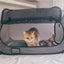 Necoichi Pop-Up Cat Carrier, Portable & Light-Weight, 31"X20"X20"