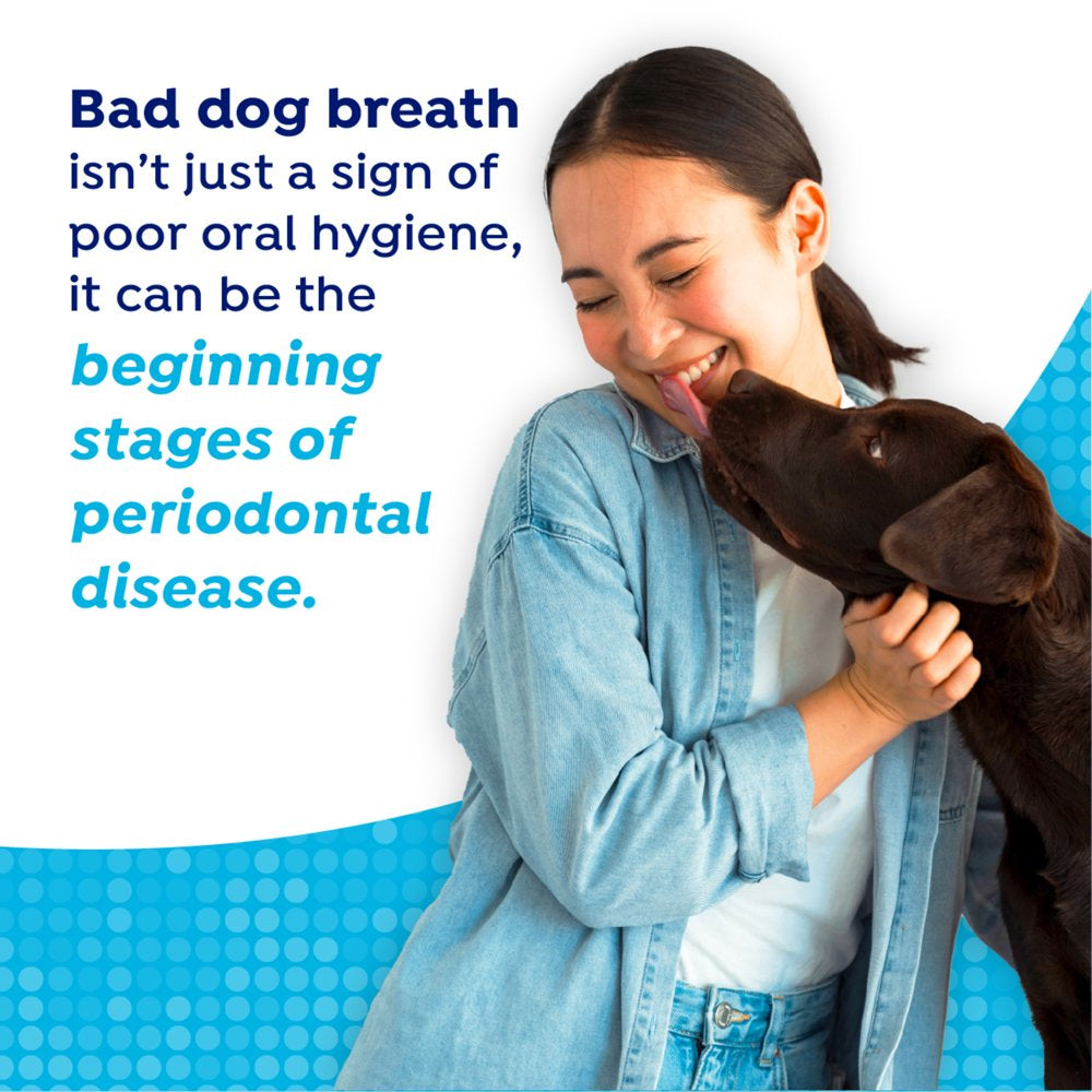 Naturel Promise Fresh Dental Dog Breath Freshener Water Additive for Dogs, 16 Oz Bottle