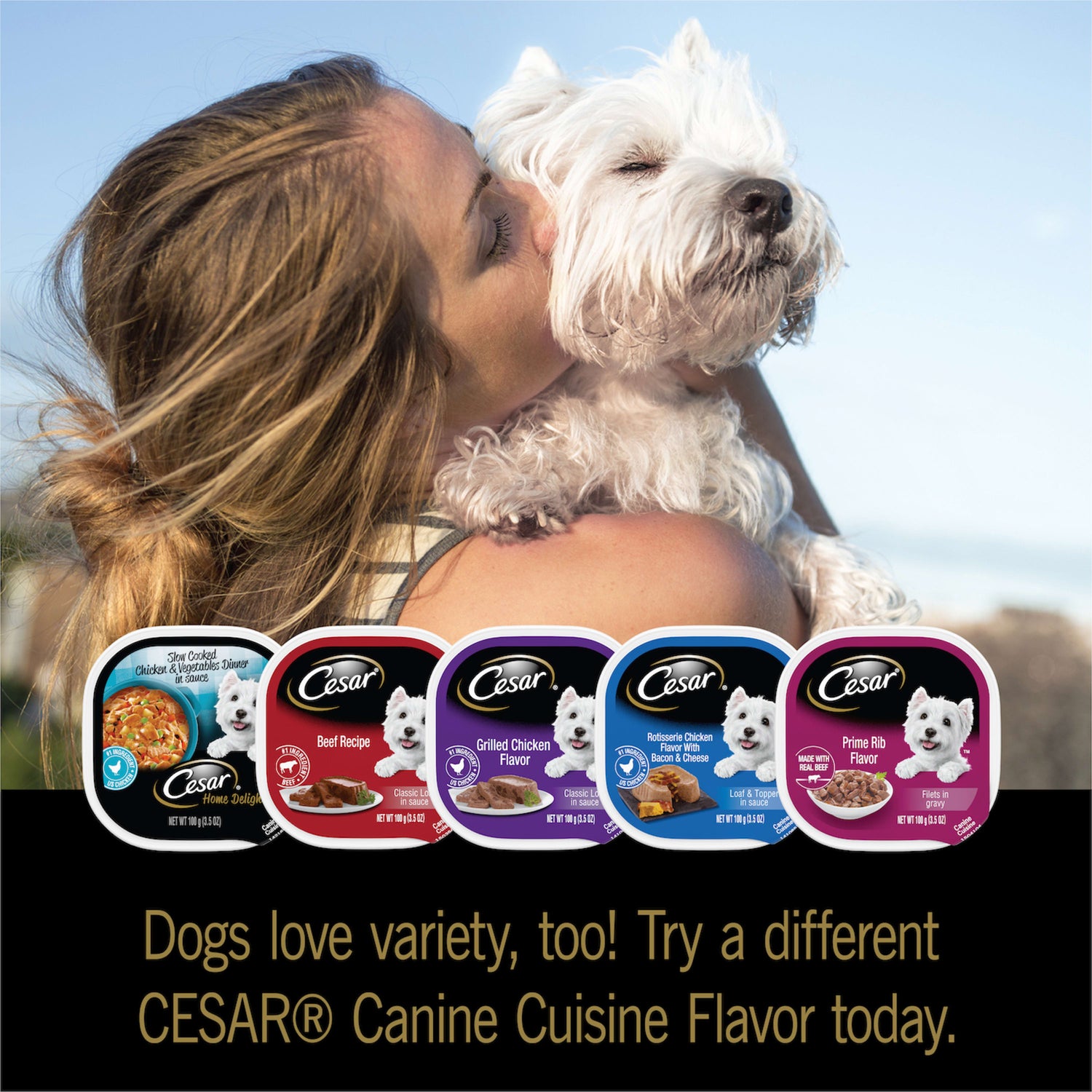 (12 Pack) CESAR Wet Dog Food Filets in Gravy Filet Mignon & New York Strip Flavors Variety Pack, 3.5 Oz. Easy Peel Trays