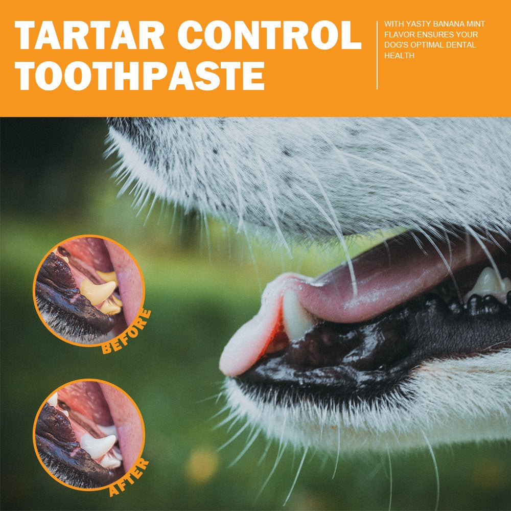 Pets Tartar Control Kit for Dogs-Contains Toothpaste, Dog Toothbrush & Fingerbrush - Dog Teeth Cleaning Kit, Dog Dental Care, Pet Toothbrush